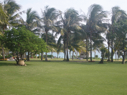 Miaomiao in a hammock at the Gloria Resort Sanya