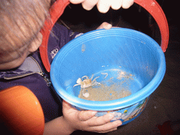 Child with a small crab in a bucket at the beach of Yalong Bay, by night