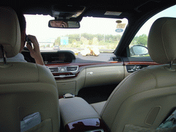 Interior of the taxi from the Gloria Resort Sanya to the Sanya Phoenix International Airport