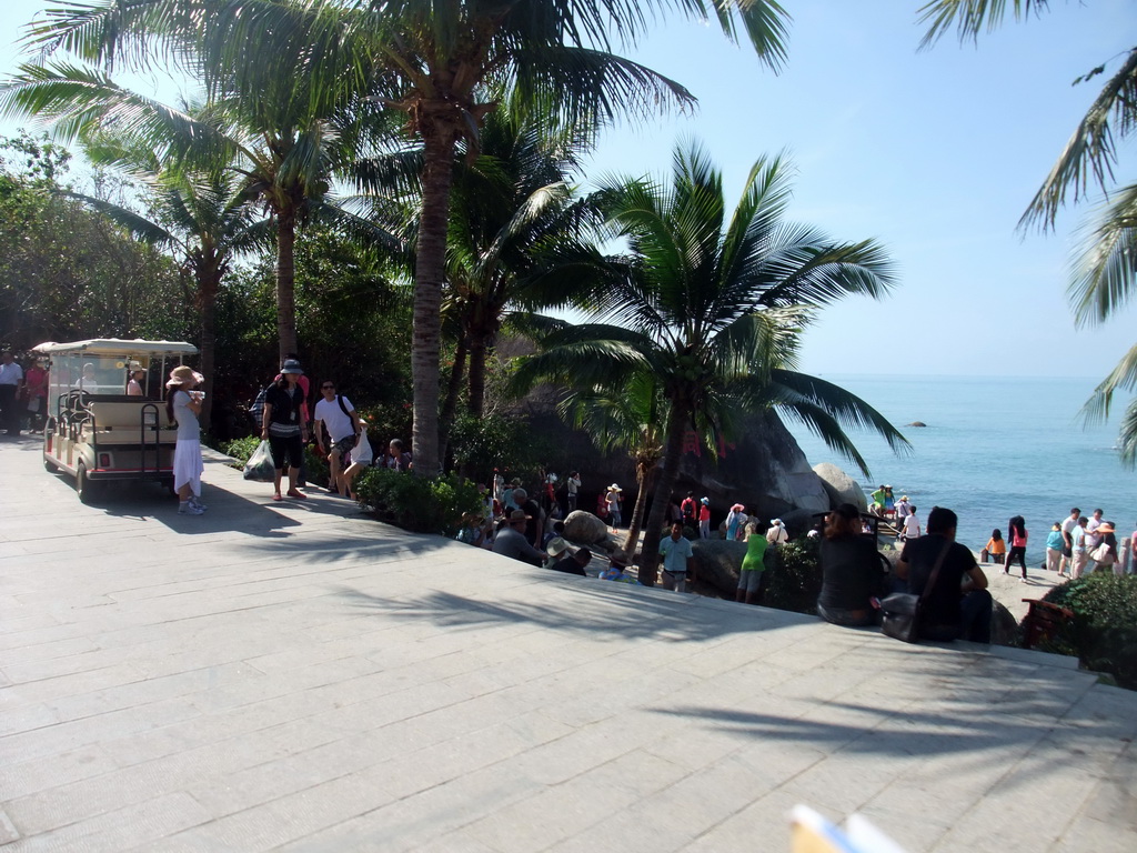 Palm trees and rocks at the beach of the Sanya Nanshan Dongtian Park