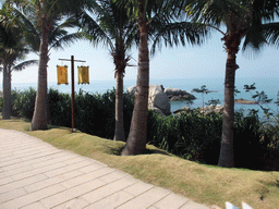 Palm trees and rocks at the beach of the Sanya Nanshan Dongtian Park