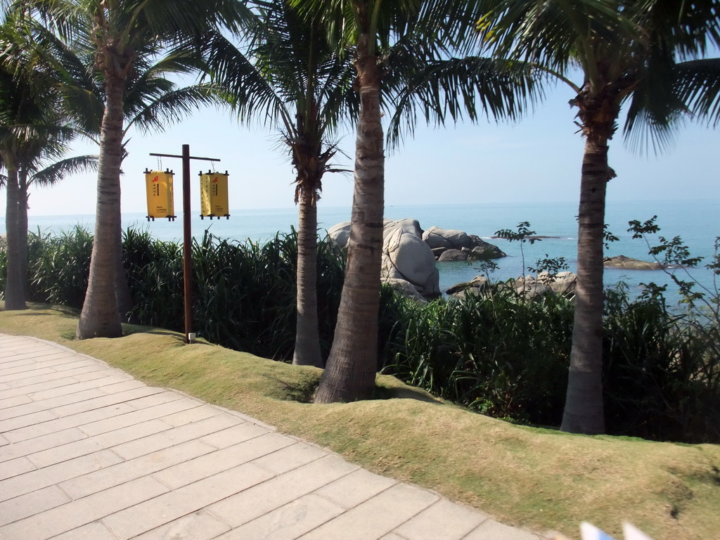 Palm trees and rocks at the beach of the Sanya Nanshan Dongtian Park