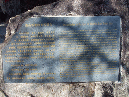 Explanation on the Nanshan Evergreen Pine at the Sanya Nanshan Dongtian Park