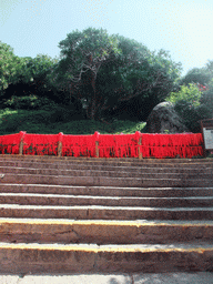 The Nanshan Evergreen Pine at the Sanya Nanshan Dongtian Park