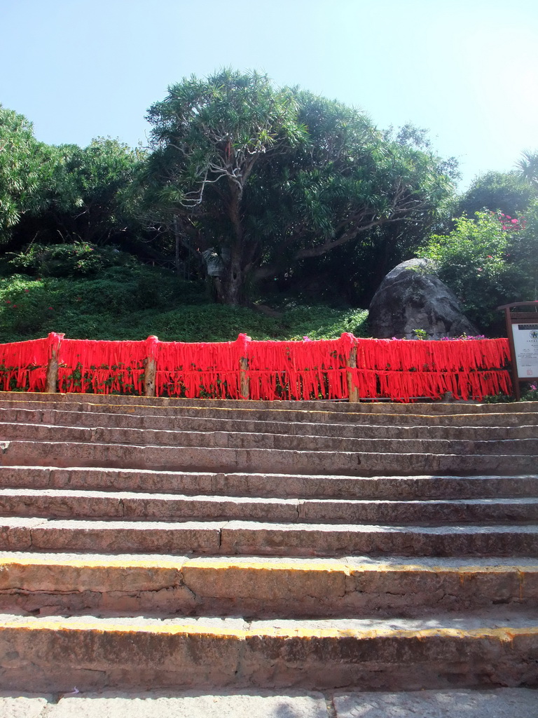 The Nanshan Evergreen Pine at the Sanya Nanshan Dongtian Park