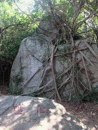 The Immortal Altar at the Sanya Nanshan Dongtian Park