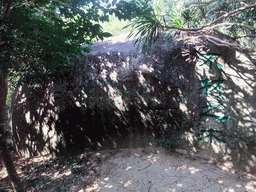 The inscription `Useless Wood` at the Sanya Nanshan Dongtian Park