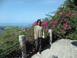 Mengjin with plants and a view on the rocks at the beach at the Sanya Nanshan Dongtian Park
