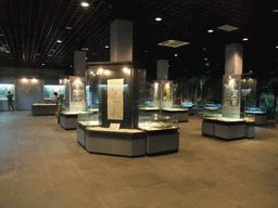 Exhibition hall with fossils at the Sanya Museum of Natural History at the Sanya Nanshan Dongtian Park