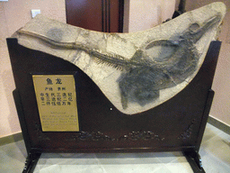 Fossil of a Ichthyosaur at the Sanya Museum of Natural History at the Sanya Nanshan Dongtian Park, with explanation