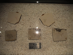 Fossils of Ginkgo leaves at the Sanya Museum of Natural History at the Sanya Nanshan Dongtian Park