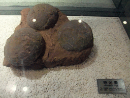 sanya_2_087 - 298 kb - 1024x768 - Fossil dinosaur eggs at the Sanya Museum of Natural History at the Sanya Nanshan Dongtian Park Fossil dinosaur eggs at the Sanya Museum of Natural History at the Sanya Nanshan Dongtian Park