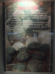 Explanation on the Fossil dinosaur eggs from Xixia County at the Sanya Museum of Natural History at the Sanya Nanshan Dongtian Park