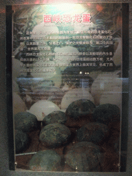 sanya_2_089 - 311 kb - 768x1024 - Explanation on the Fossil dinosaur eggs from Xixia County at the Sanya Museum of Natural History at the Sanya Nanshan Dongtian Park Explanation on the Fossil dinosaur eggs from Xixia County at the Sanya Museum of Natural History at the Sanya Nanshan Dongtian Park