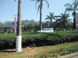 Palm trees and buildings at the outskirts of the city, viewed from a car