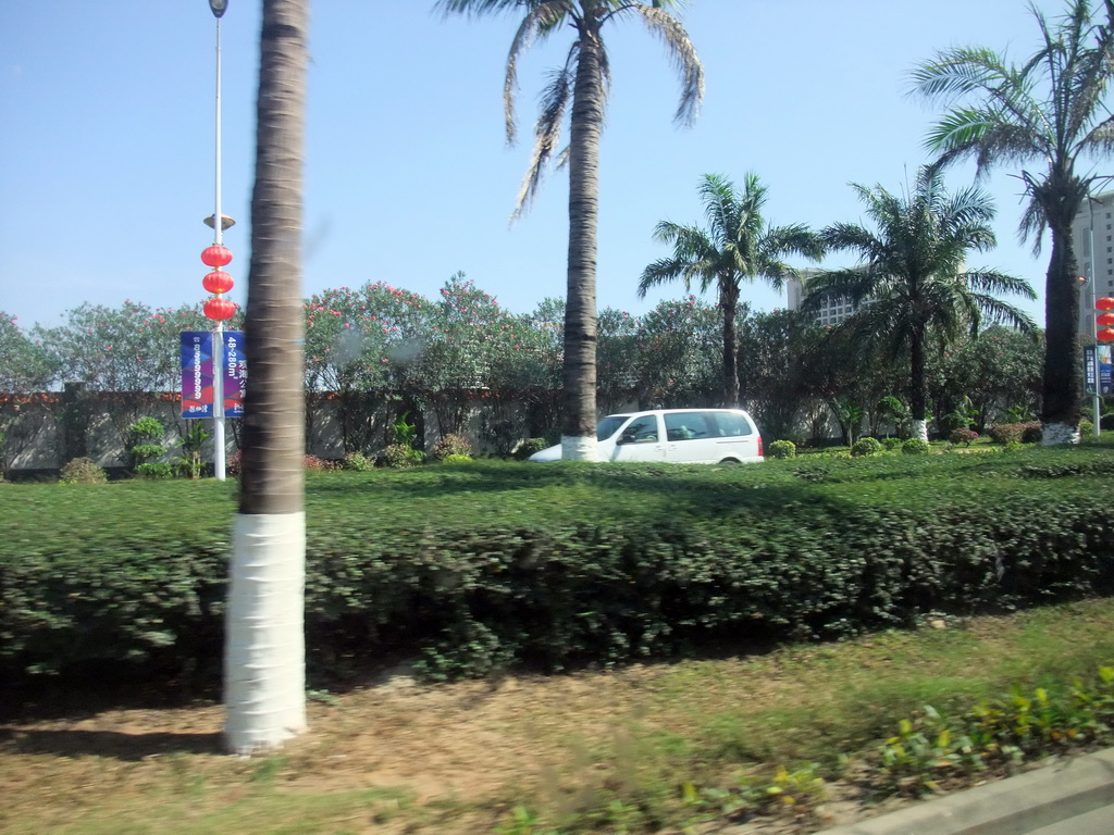 Palm trees and buildings at the outskirts of the city, viewed from a car