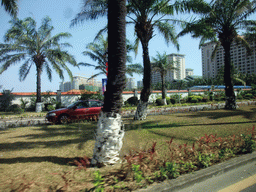 Palm trees and buildings at the outskirts of the city, viewed from a car