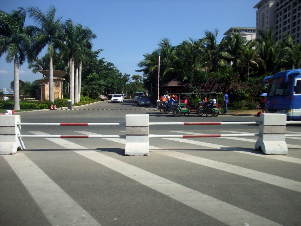 Palm trees and rickshaws at the outskirts of the city, viewed from a car