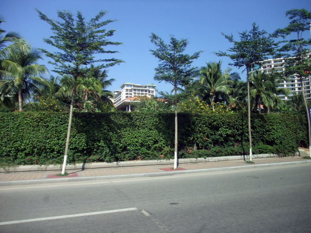 Palm trees in front of the Howard Johnson Resort Sanya, viewed from a car