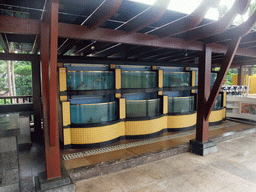 Aquariums at the Fisherman`s Wharf at the Ocean Sonic Resort