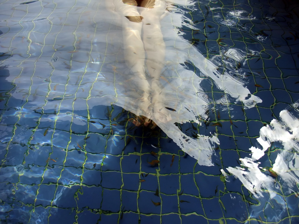 Mengjin`s feet with little fish in the Dr. Fish pool at the Fisherman`s Wharf at the Ocean Sonic Resort