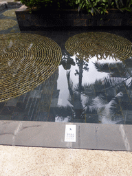 Pond with Chinglish sign at the central area of the Sanya Bay Mangrove Tree Resort