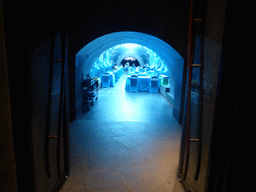 Underwater tunnel at the Aqua restaurant at the InterContinental Sanya Haitang Bay Resort