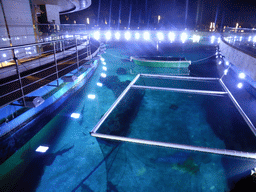 Top side of the aquarium of the Aqua restaurant at the InterContinental Sanya Haitang Bay Resort, by night