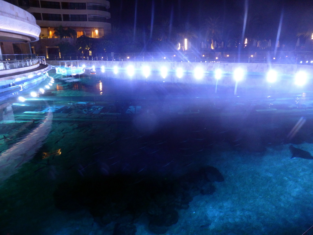 Top side of the aquarium of the Aqua restaurant at the InterContinental Sanya Haitang Bay Resort, by night