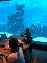 Miaomiao, her mother and Max in front of the aquarium with fish at the Aqua restaurant at the InterContinental Sanya Haitang Bay Resort