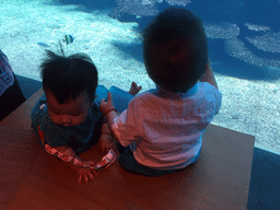 Max and his cousin in front of the aquarium with fish at the Aqua restaurant at the InterContinental Sanya Haitang Bay Resort