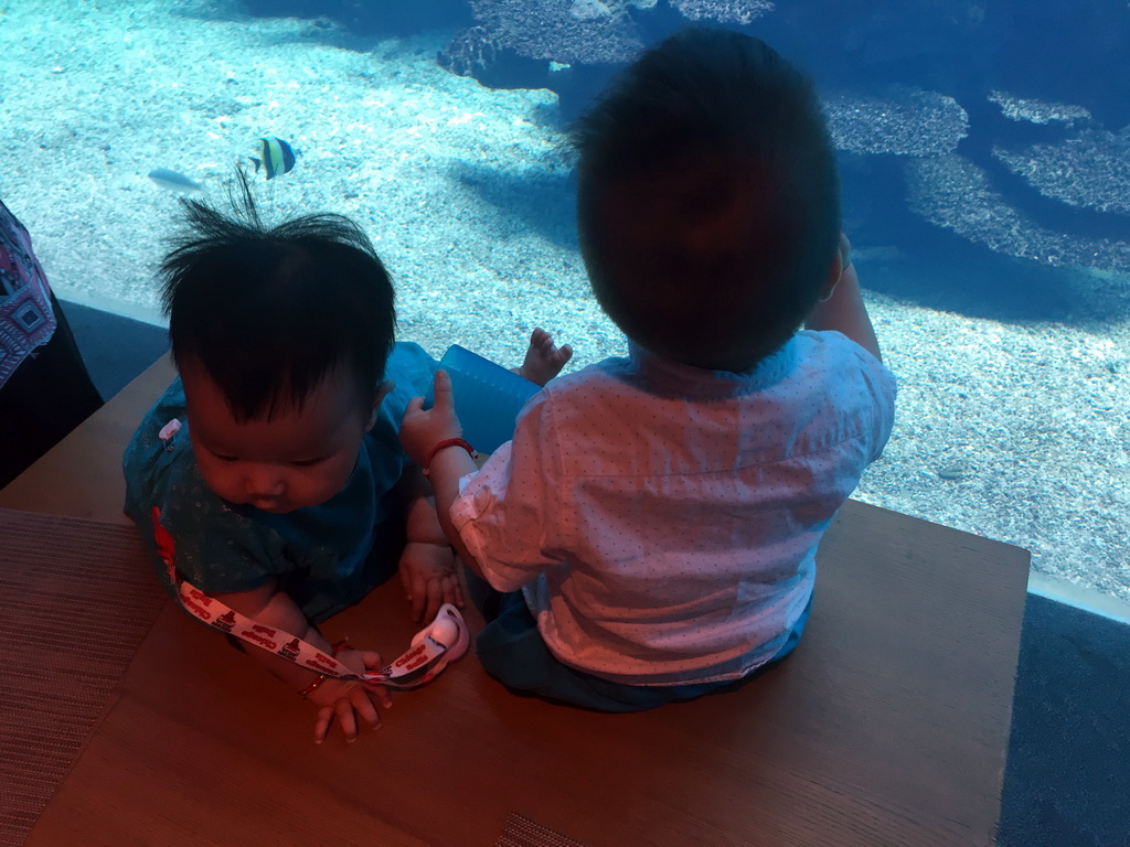 Max and his cousin in front of the aquarium with fish at the Aqua restaurant at the InterContinental Sanya Haitang Bay Resort