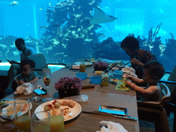 Miaomiao`s mother and Max and his cousin having lunch in front of the aquarium with a stingray and fish at the Aqua restaurant at the InterContinental Sanya Haitang Bay Resort