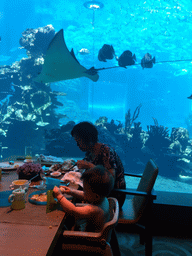 Miaomiao`s mother and Max having lunch in front of the aquarium with a stingray and fish at the Aqua restaurant at the InterContinental Sanya Haitang Bay Resort