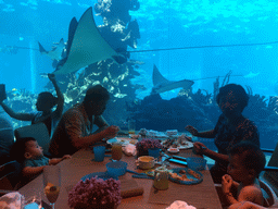 Miaomiao`s parents and Max and his cousin having lunch in front of the aquarium with stingrays and fish at the Aqua restaurant at the InterContinental Sanya Haitang Bay Resort