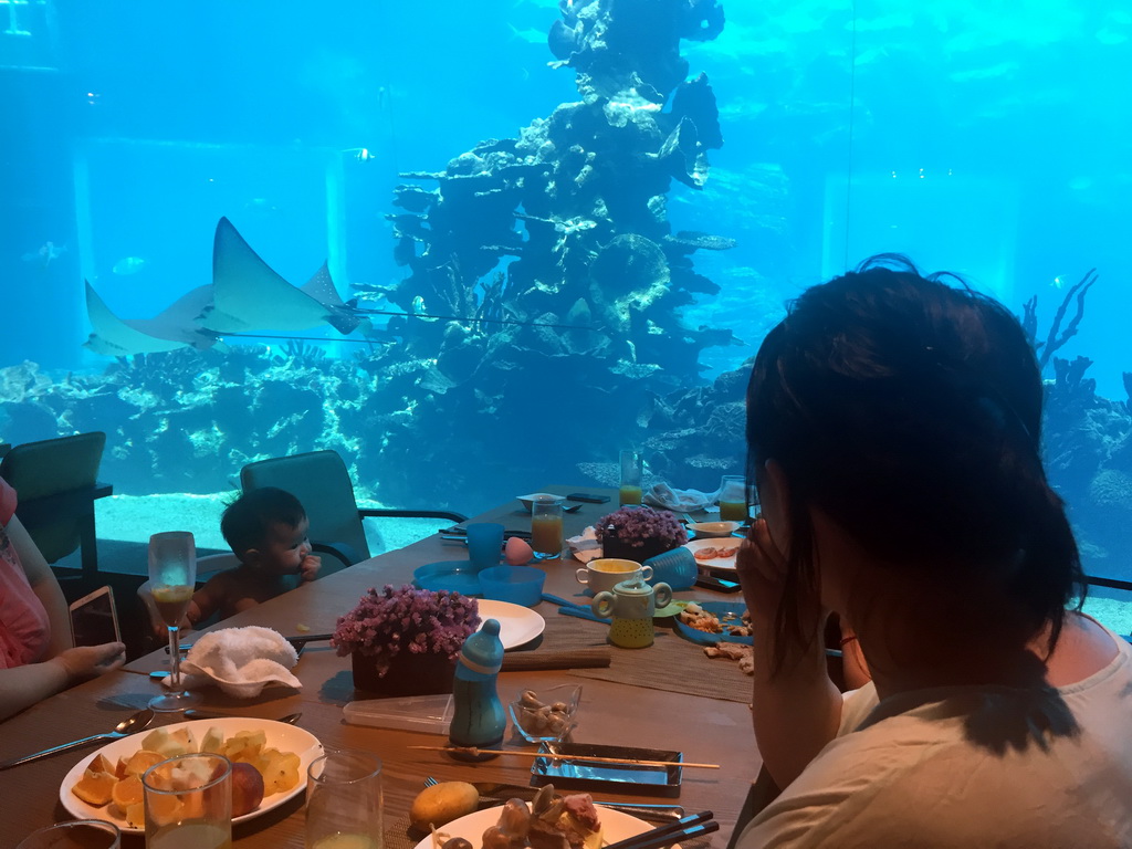 Miaomiao and Max` cousin having lunch in front of the aquarium with stingrays and fish at the Aqua restaurant at the InterContinental Sanya Haitang Bay Resort