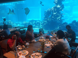 Miaomiao, Max and Miaomiao`s family having lunch in front of the aquarium with stingrays and fish at the Aqua restaurant at the InterContinental Sanya Haitang Bay Resort