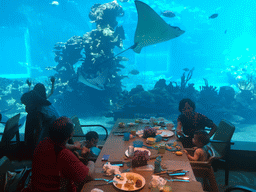 Max and Miaomiao`s family having lunch in front of the aquarium with stingrays and fish at the Aqua restaurant at the InterContinental Sanya Haitang Bay Resort