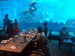 Miaomiao, Max and Miaomiao`s family having lunch in front of the aquarium with stingrays and fish at the Aqua restaurant at the InterContinental Sanya Haitang Bay Resort