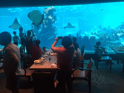 Miaomiao`s family having lunch in front of the aquarium with stingrays and fish at the Aqua restaurant at the InterContinental Sanya Haitang Bay Resort