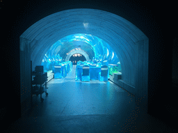 Underwater tunnel at the Aqua restaurant at the InterContinental Sanya Haitang Bay Resort