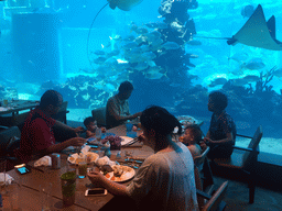 Miaomiao, Max and Miaomiao`s family having lunch in front of the aquarium with stingrays and fish at the Aqua restaurant at the InterContinental Sanya Haitang Bay Resort