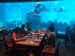 Miaomiao, Max and Miaomiao`s family having lunch in front of the aquarium with stingrays and fish at the Aqua restaurant at the InterContinental Sanya Haitang Bay Resort