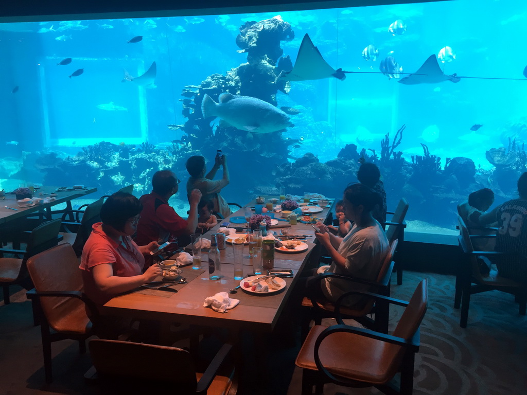 Miaomiao, Max and Miaomiao`s family having lunch in front of the aquarium with stingrays and fish at the Aqua restaurant at the InterContinental Sanya Haitang Bay Resort