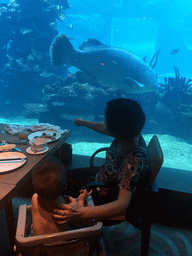 Max and Miaomiao`s mother in front of the aquarium with fish at the Aqua restaurant at the InterContinental Sanya Haitang Bay Resort