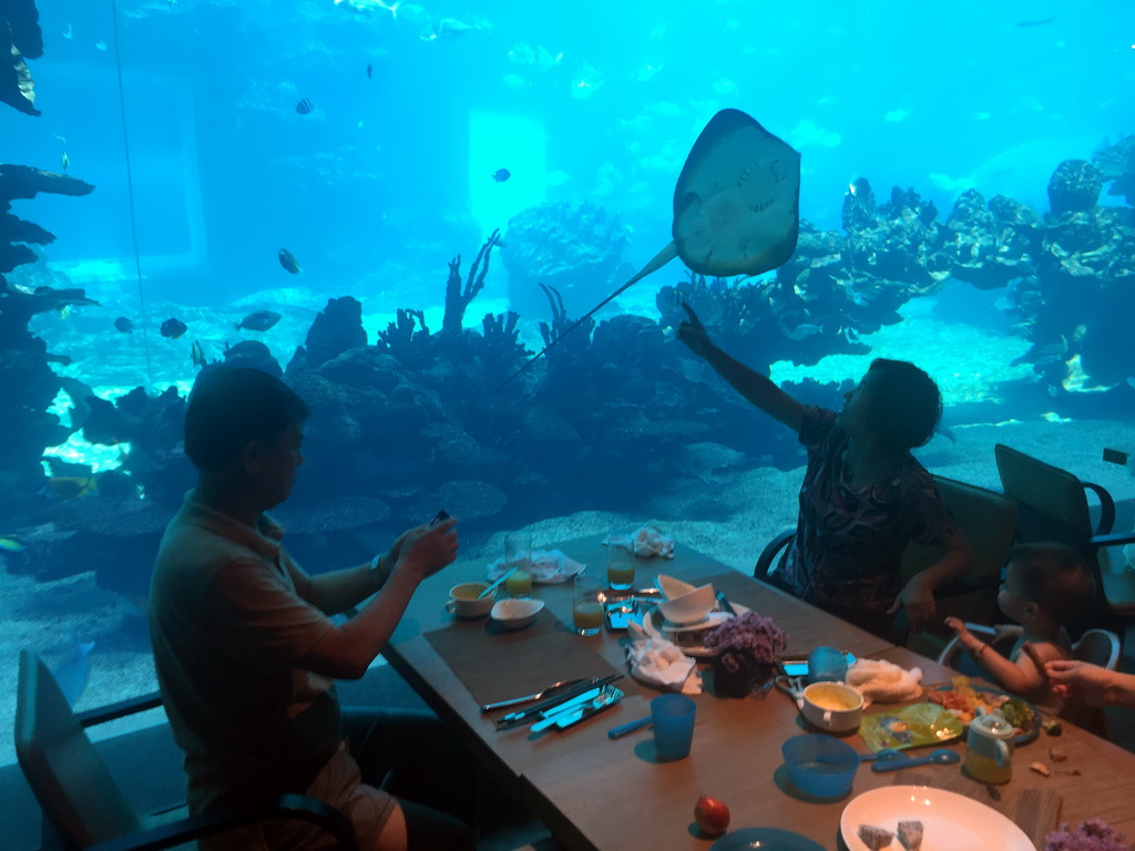 Max and Miaomiao`s parents in front of the aquarium with stingray and fish at the Aqua restaurant at the InterContinental Sanya Haitang Bay Resort