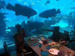 Max and Miaomiao`s parents in front of the aquarium with stingrays and fish at the Aqua restaurant at the InterContinental Sanya Haitang Bay Resort