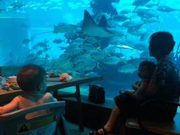 Miaomiao`s mother and Max and his cousin in front of the aquarium with stingrays and fish at the Aqua restaurant at the InterContinental Sanya Haitang Bay Resort