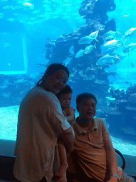 Miaomiao, her father and Max in front of the aquarium with fish at the Aqua restaurant at the InterContinental Sanya Haitang Bay Resort