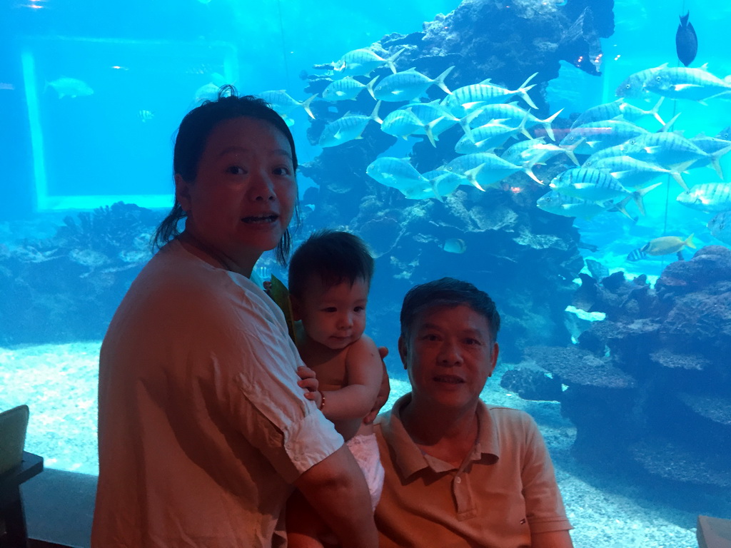 Miaomiao, her father and Max in front of the aquarium with fish at the Aqua restaurant at the InterContinental Sanya Haitang Bay Resort